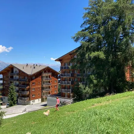 Lejlighed Residenz Pracondue I Ii Nend240 Nendaz